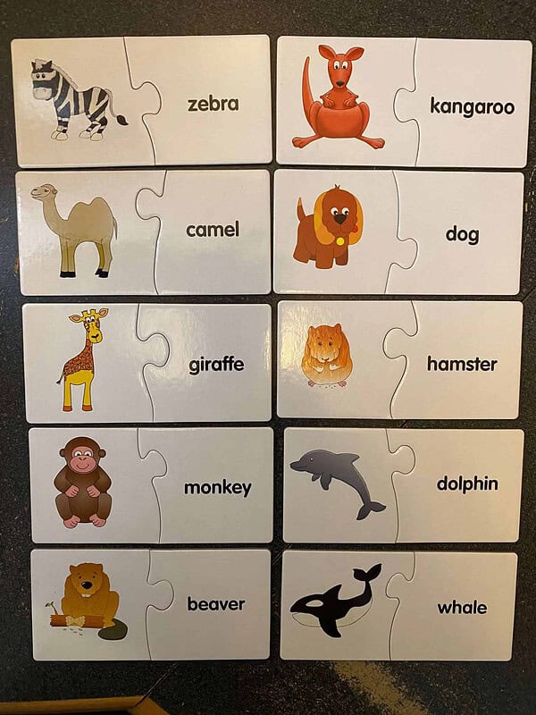 Match It! - Animal Words - Image 5
