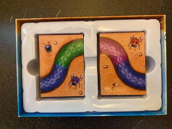 Hisss from Gamewright - Image 3