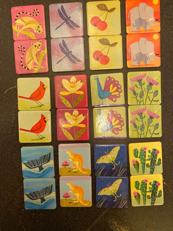 Life on Earth Matching Game - Image 4