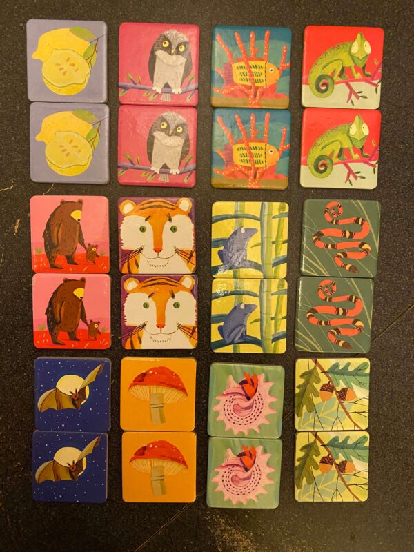 Life on Earth Matching Game - Image 5