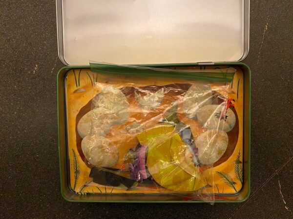 Dinosaurs Magnetic Build-It - Image 3