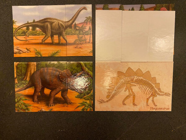 Dinosaurs Extinct? Game - Image 8