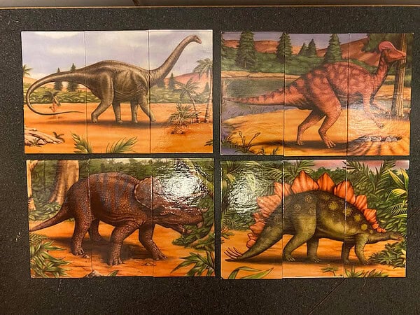 Dinosaurs Extinct? Game - Image 7