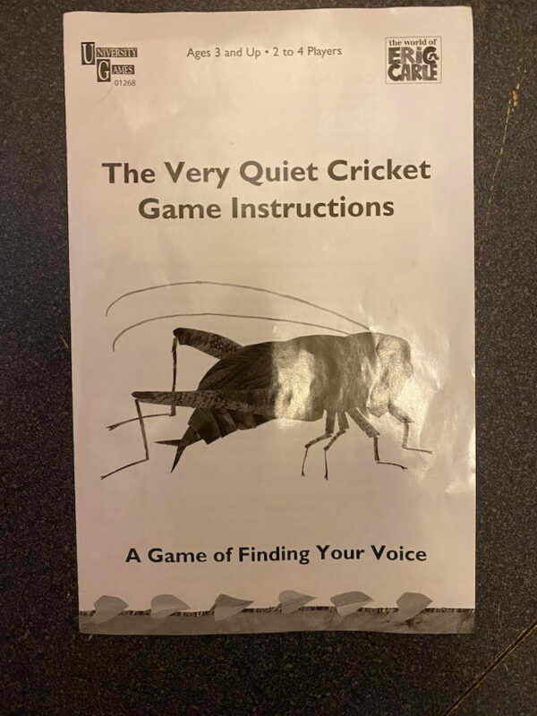 The Very Quiet Cricket Game - Image 8