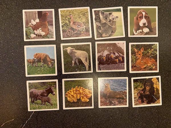 Baby Animal Lotto from Ravensburger - Image 7