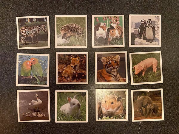 Baby Animal Lotto from Ravensburger - Image 6