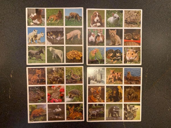Baby Animal Lotto from Ravensburger - Image 4
