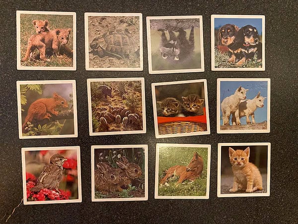 Baby Animal Lotto from Ravensburger - Image 5