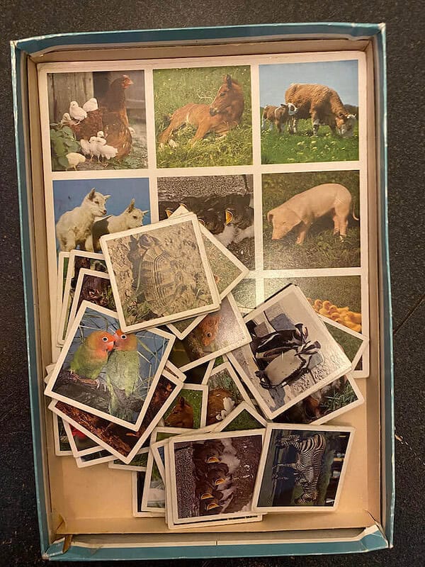 Baby Animal Lotto from Ravensburger - Image 3