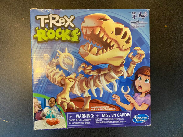 T-Rex Rocks