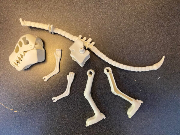 T-Rex Rocks - Image 3