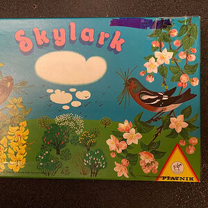 Skylark from Discovery Toys