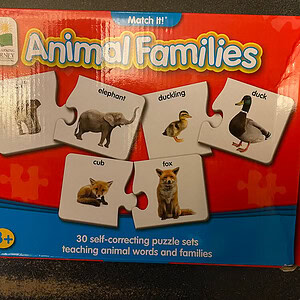 Match It Animal Families